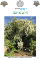 JUNE 2021.pdf