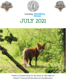 JULY 2021.pdf